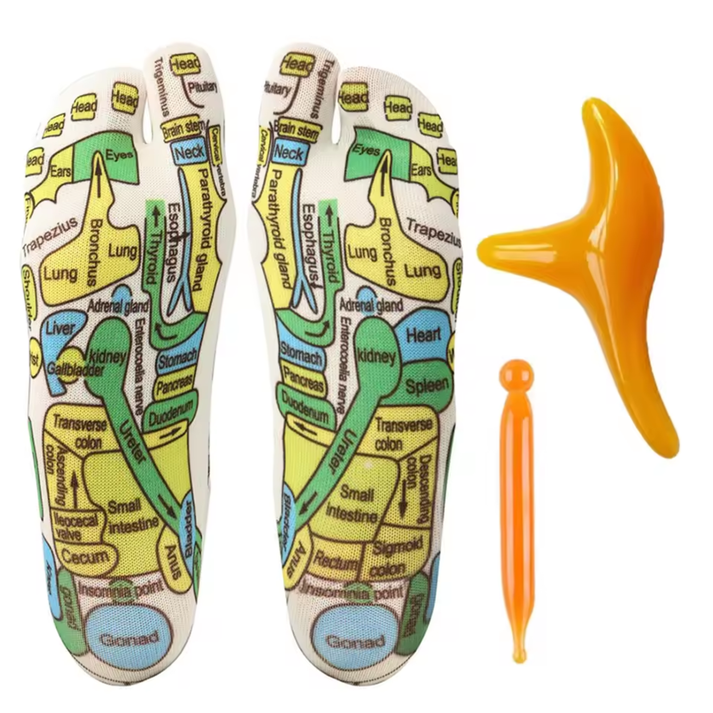 Calcetines con Masajeador para Pies